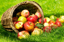 Fête de la pomme et de la nature